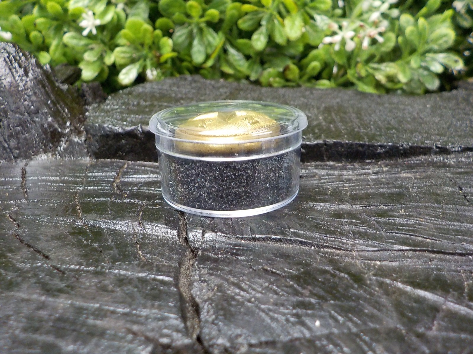 Old Rare Vintage Antique War Relic Texas Coat Button Free Display Case