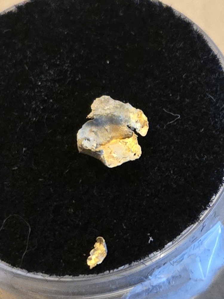 Beautiful Ibex Colorado Gold specimen