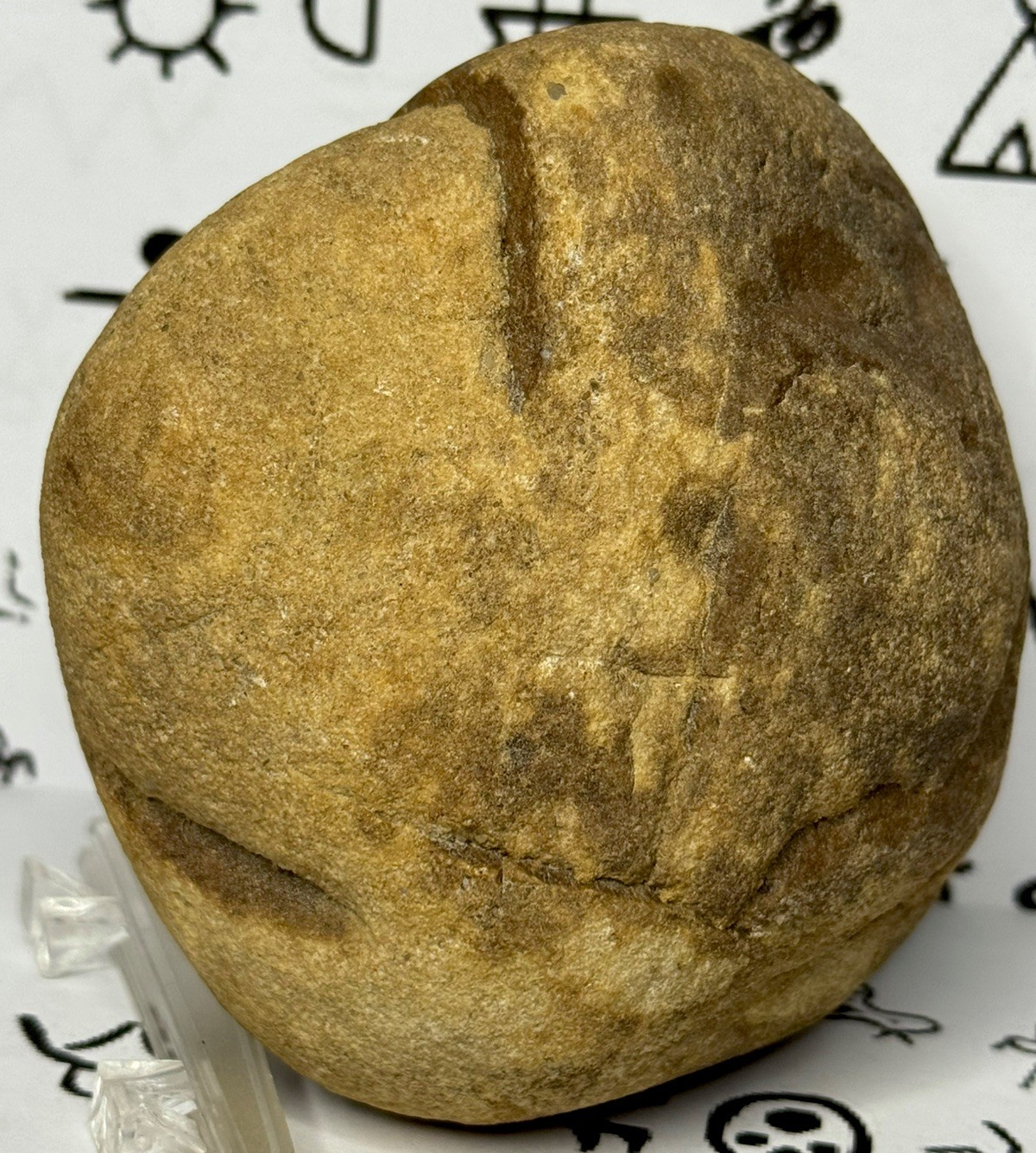 Native American Indian Authentic Artifact Stone Carved Effigy, 1 lb 10 oz • VA