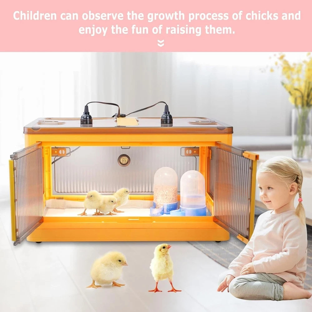 Chicken Brooder Box for Chicks Brooder Heater Chicks w/ Thermometer for 20 Ducks