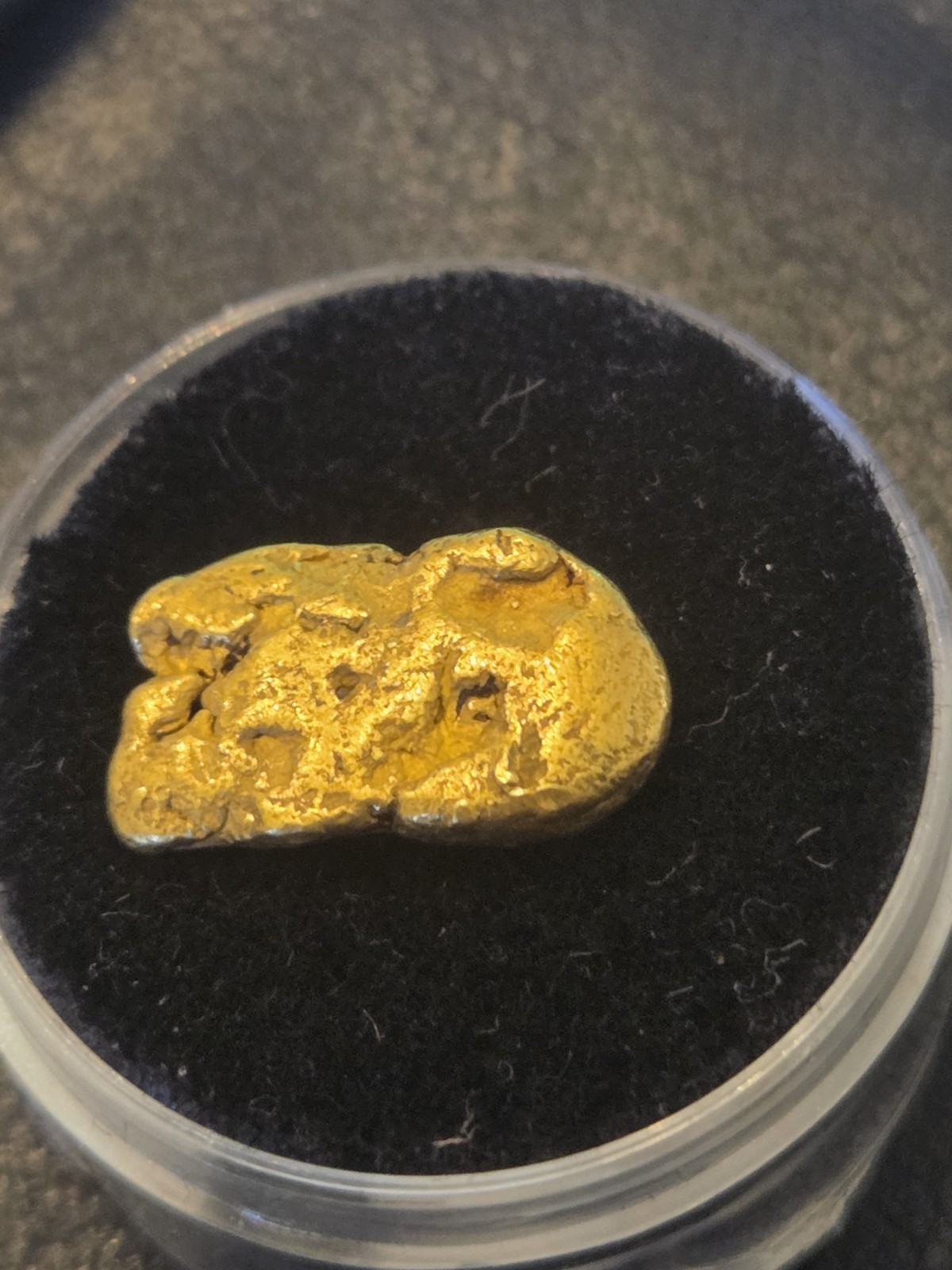 Large Norther CALIFORNIA 3.3 Gram GOLD NUGGET pin