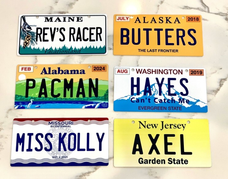 Custom Personalized Mini State License Plate. Pick your State. 3"x6" size