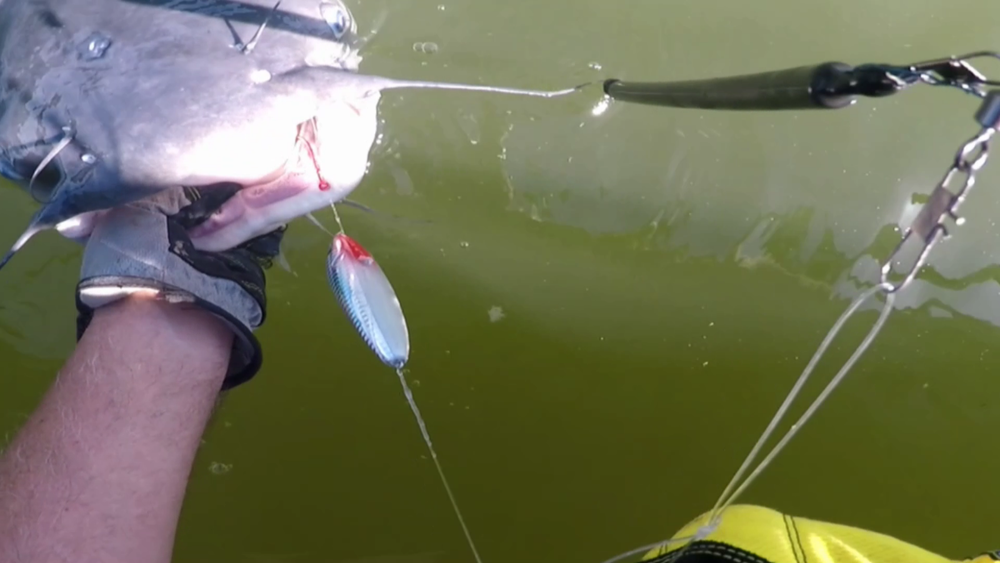 Ultimate Demon, Dragon Style Catfish Rattling Lure Santee Cooper Rig Peg Float