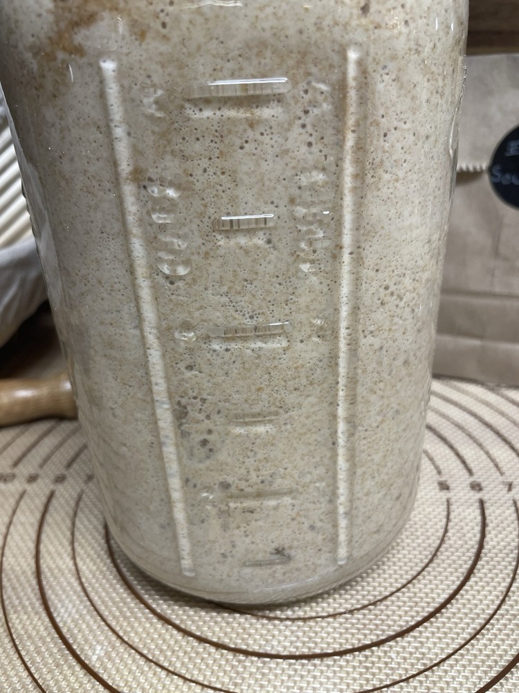 Dehydrated Sourdough Starter