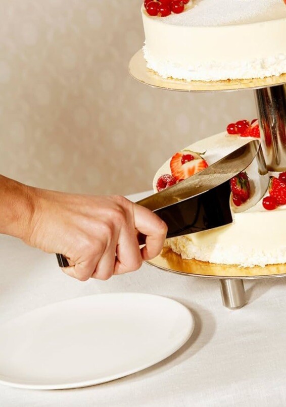 UNIQUE Cake Pie Server Award Winning