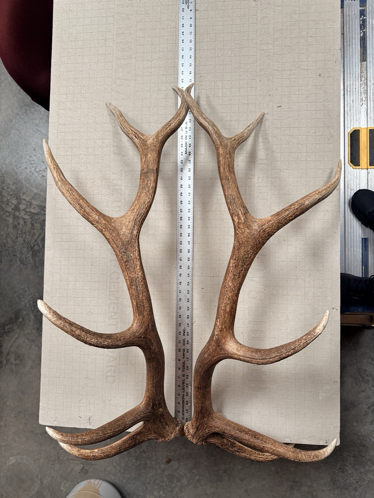 6x6 Set Of Elk Sheds ~ Elk Antlers ~ Cabin Decor