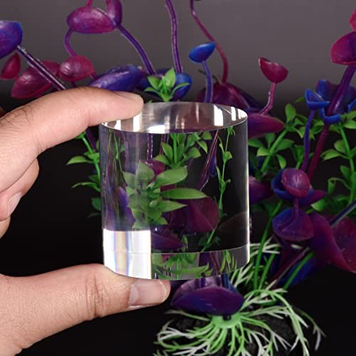 Clear Acrylic Solid Cylinder Round Display Riser, 1.2 inches (Height) x 2