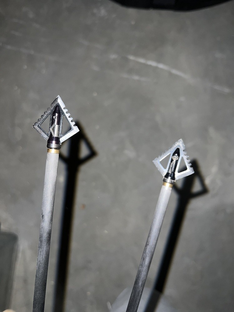 Bear Paradox Compound Bow