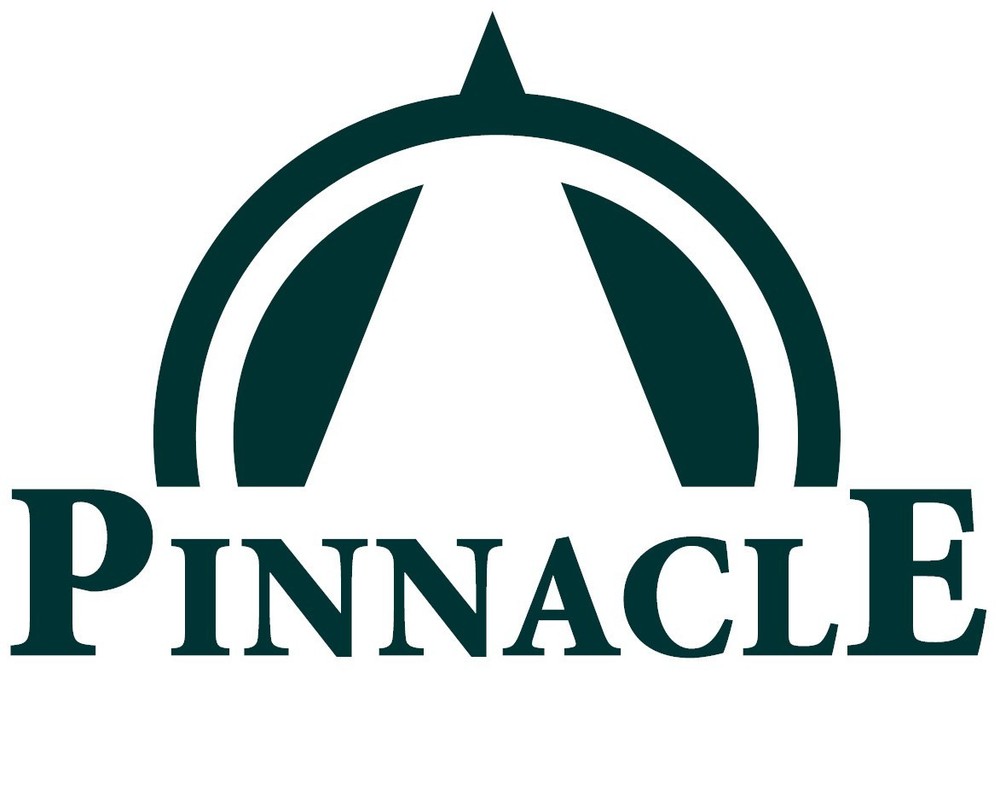 Guardhouse Shield 2 Pocket Archival (10 pack) Polypropylene Pages