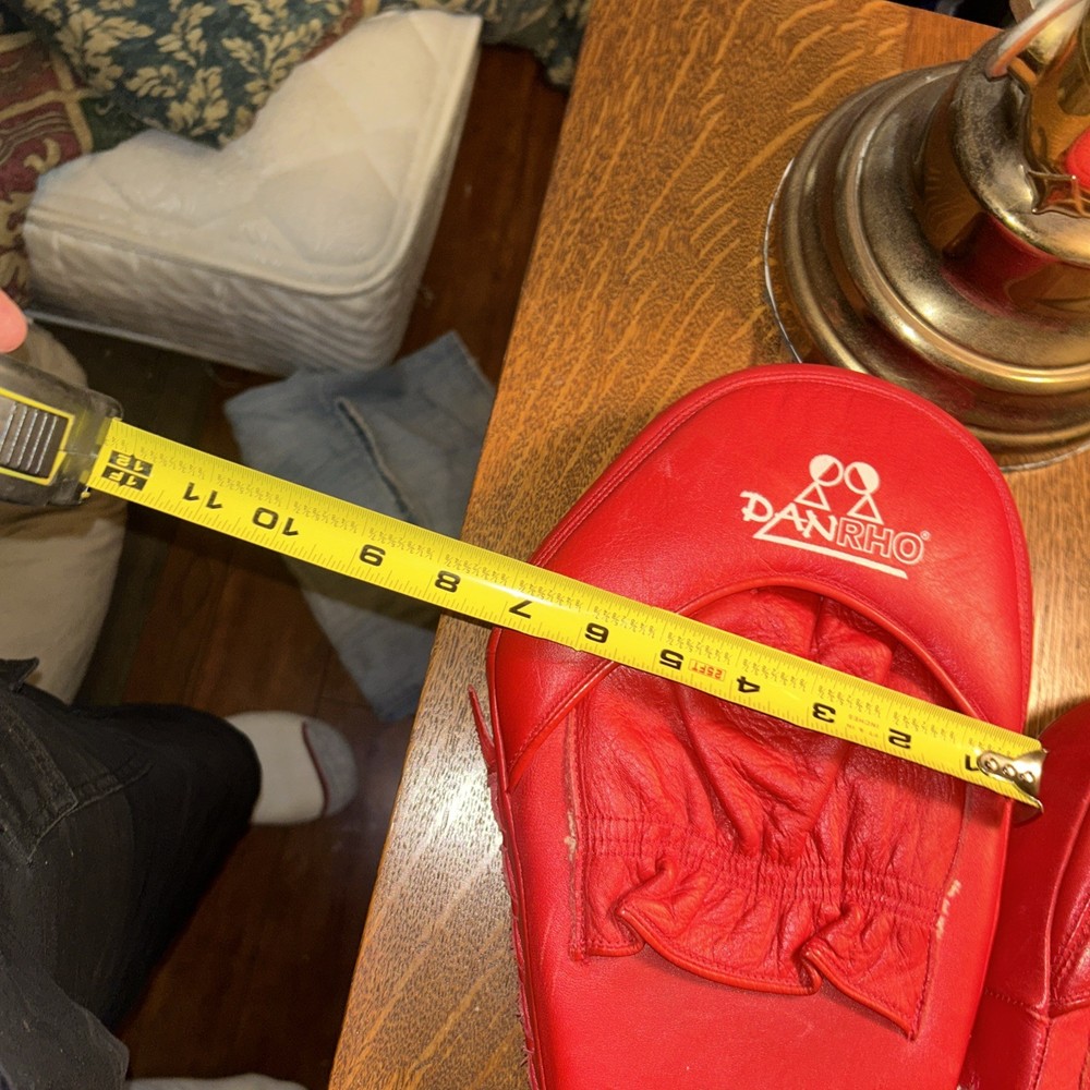 DANRHO Focus Punching Mitt