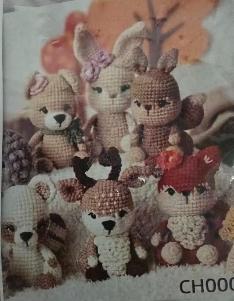 DIY Handicrafts Crochet Kit for Beginners CH0004 Includes Everything Needed
