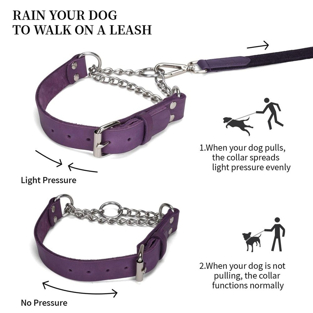 Martingale Collar for Dogs No-Pull Adjustable Training Collar with Stainless ...