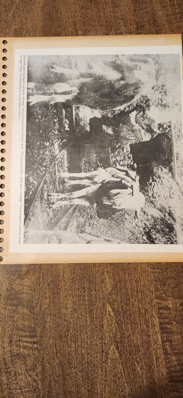 Three Vintage Black And White Copies Of Photographs Depicting Coal Haulage