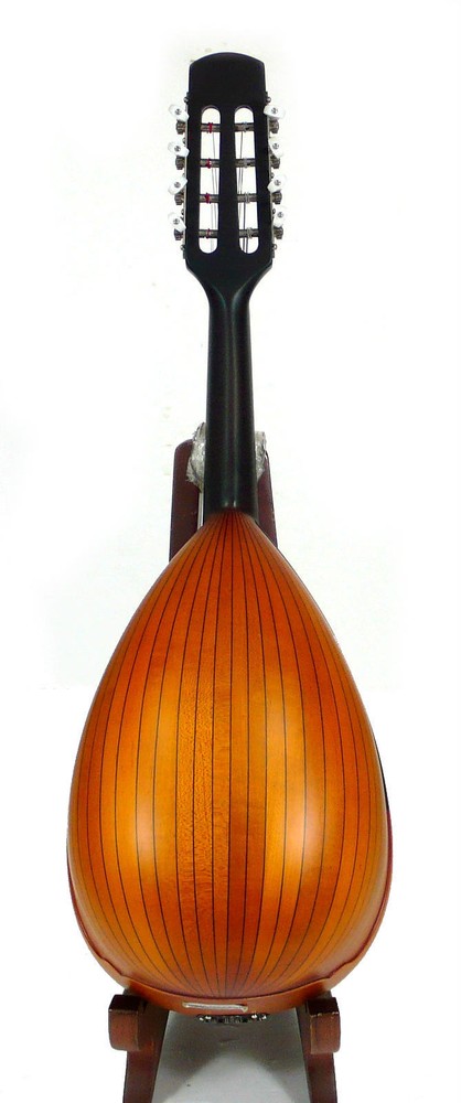 Japan Suzuki M30 Bowlback Solid Spruce Maple Mandolin Case OJMN217