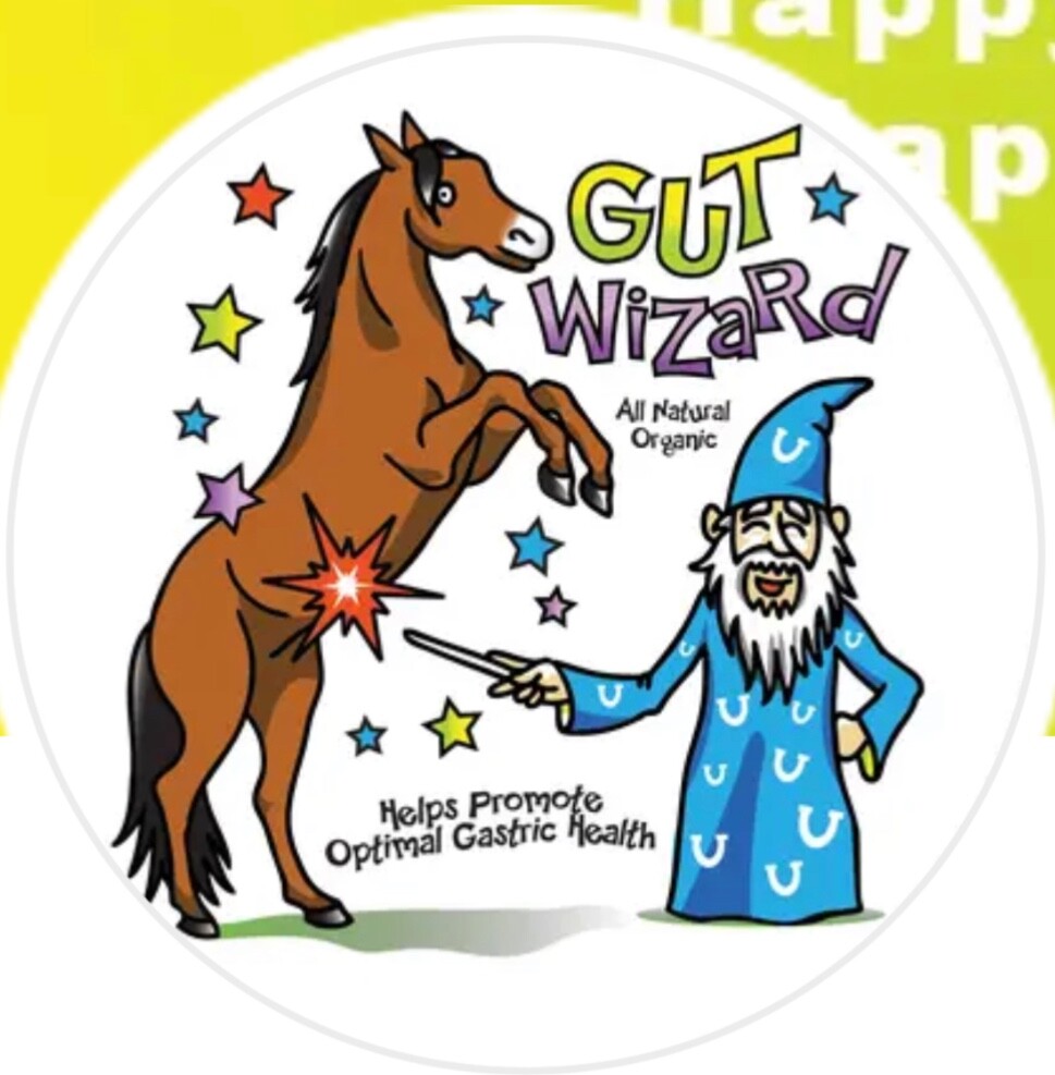 Gut Wizard