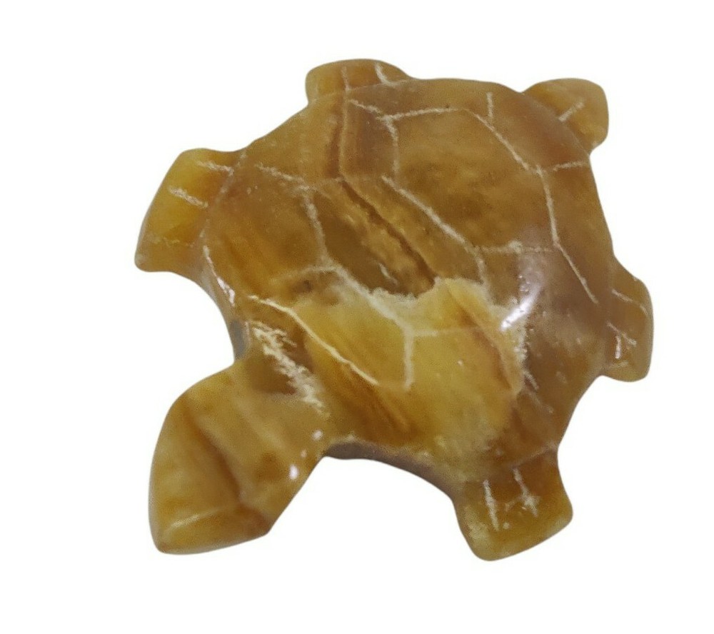 Hand Carved Stone Turtle Brooch Brown