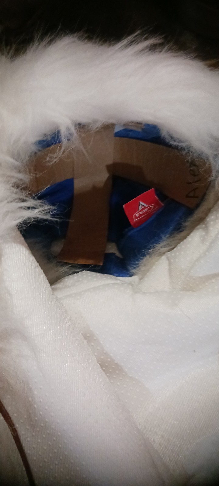 *AWESOME NATIVE AMERICAN WHITE BUFFALO HEAD DRESS LORETTA BEYUKA NICE HTF !*