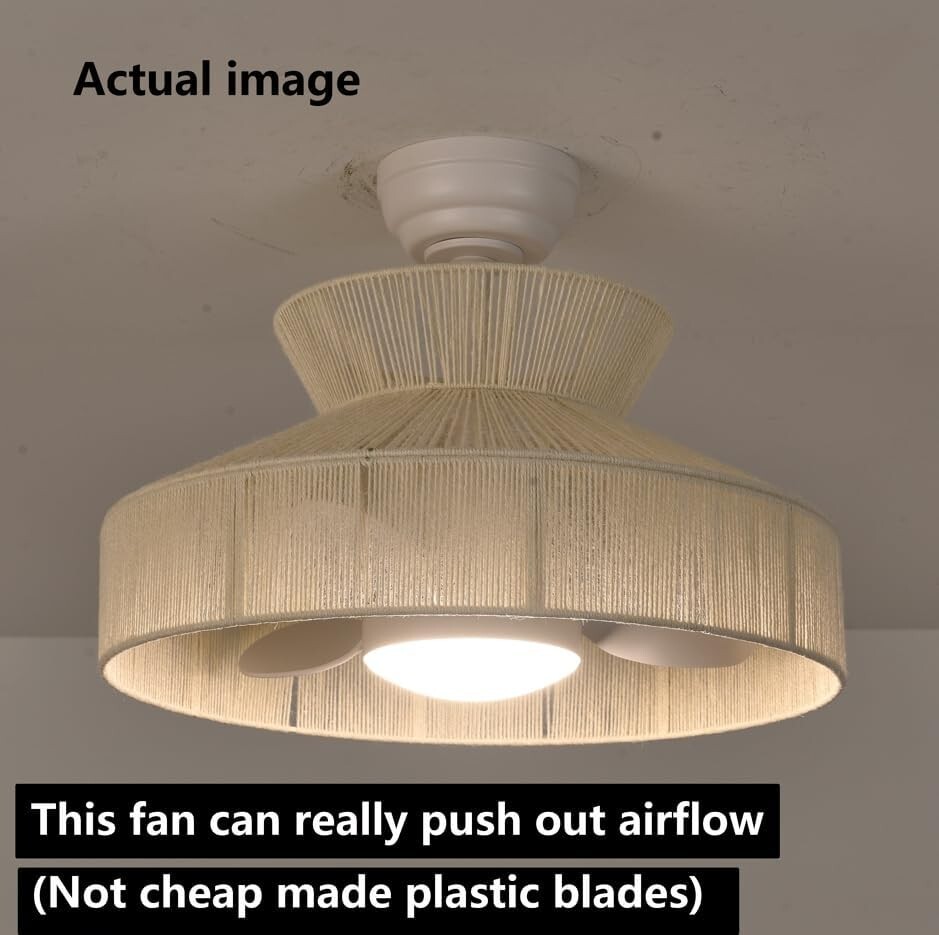18W LED 20” Dimmable DC Boho Caged Dimmable Ceiling Fan with Light