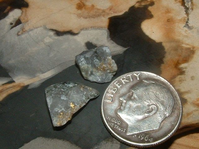 2 GOLD QUARTZ SPECIMENS .79 GRAM COLORADO NATURAL GOLD IN QUARTZ