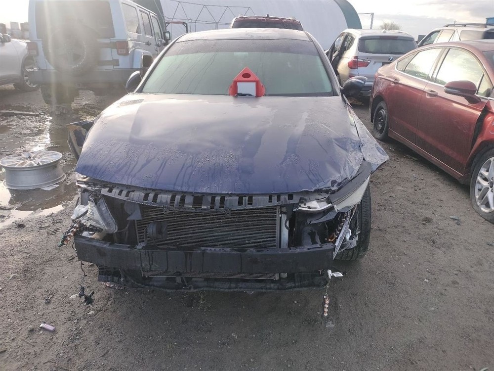 LEFT BLUE ROCKER PANEL MOULDING OEM 2017 KIA OPTIMAKIA 87751D5000