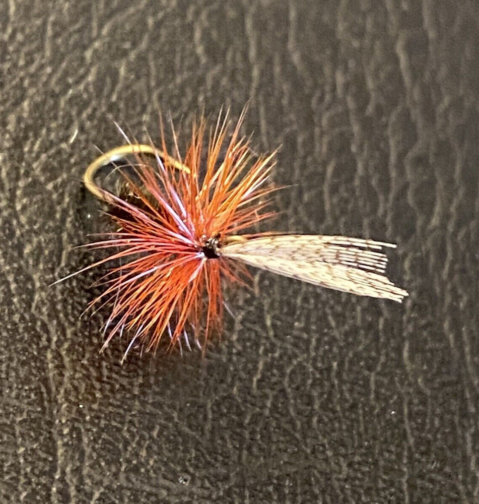 6 x John Storey Dry Fly #12.
