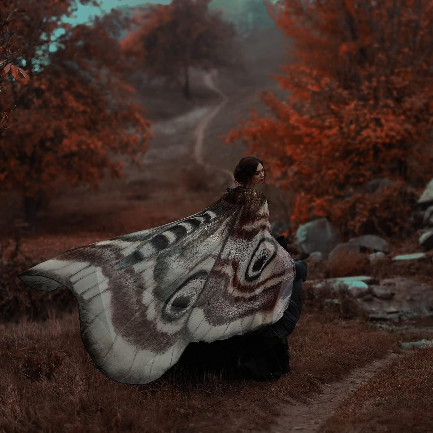 2 Pcs Halloween Moth Wings Costume Butterfly Shawl Moth Wing Cape Costume Access