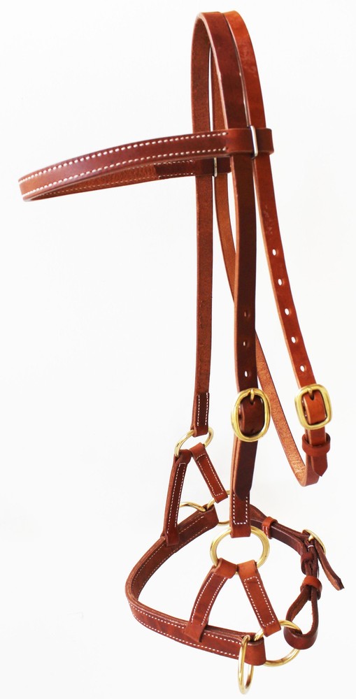 Horse Western Leather Bitless Training Aide Side Pull Bridle Brass 77RT01