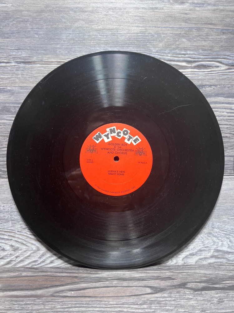 GOLDEN BOYS, VINYL RECORD