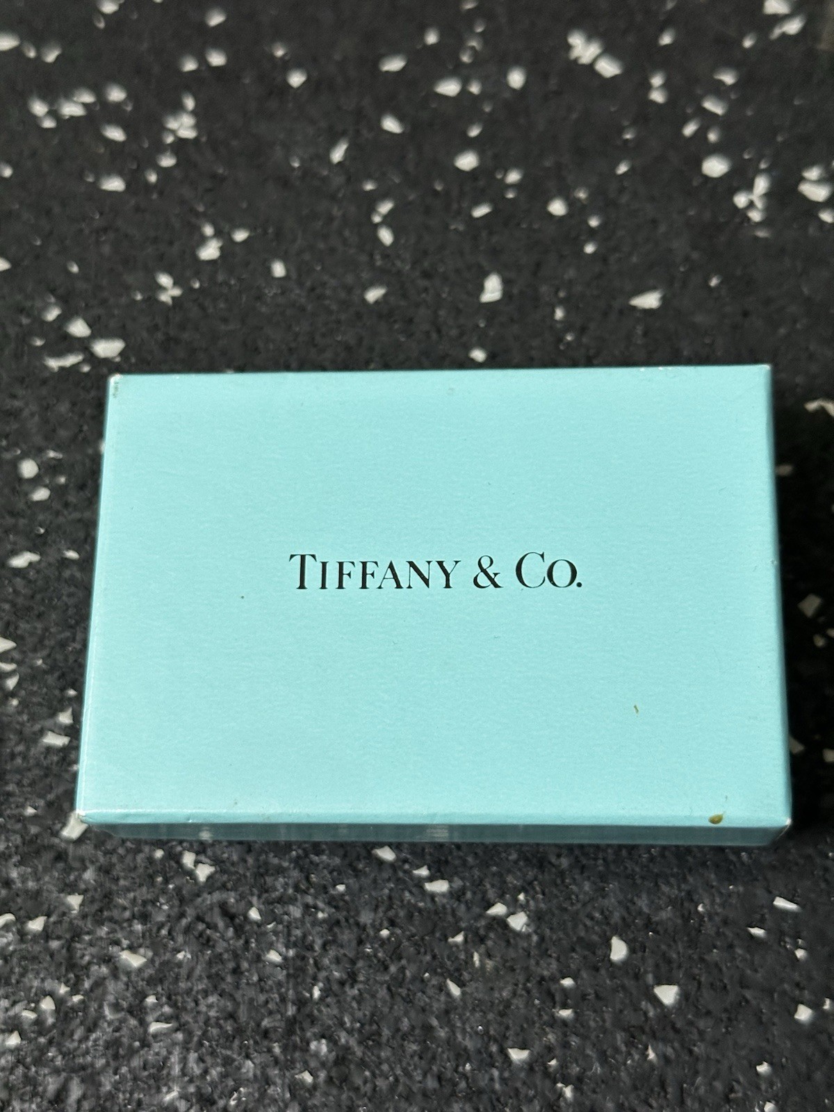 TIFFANY & CO Sterling Silver World Globe Oval Bookmark