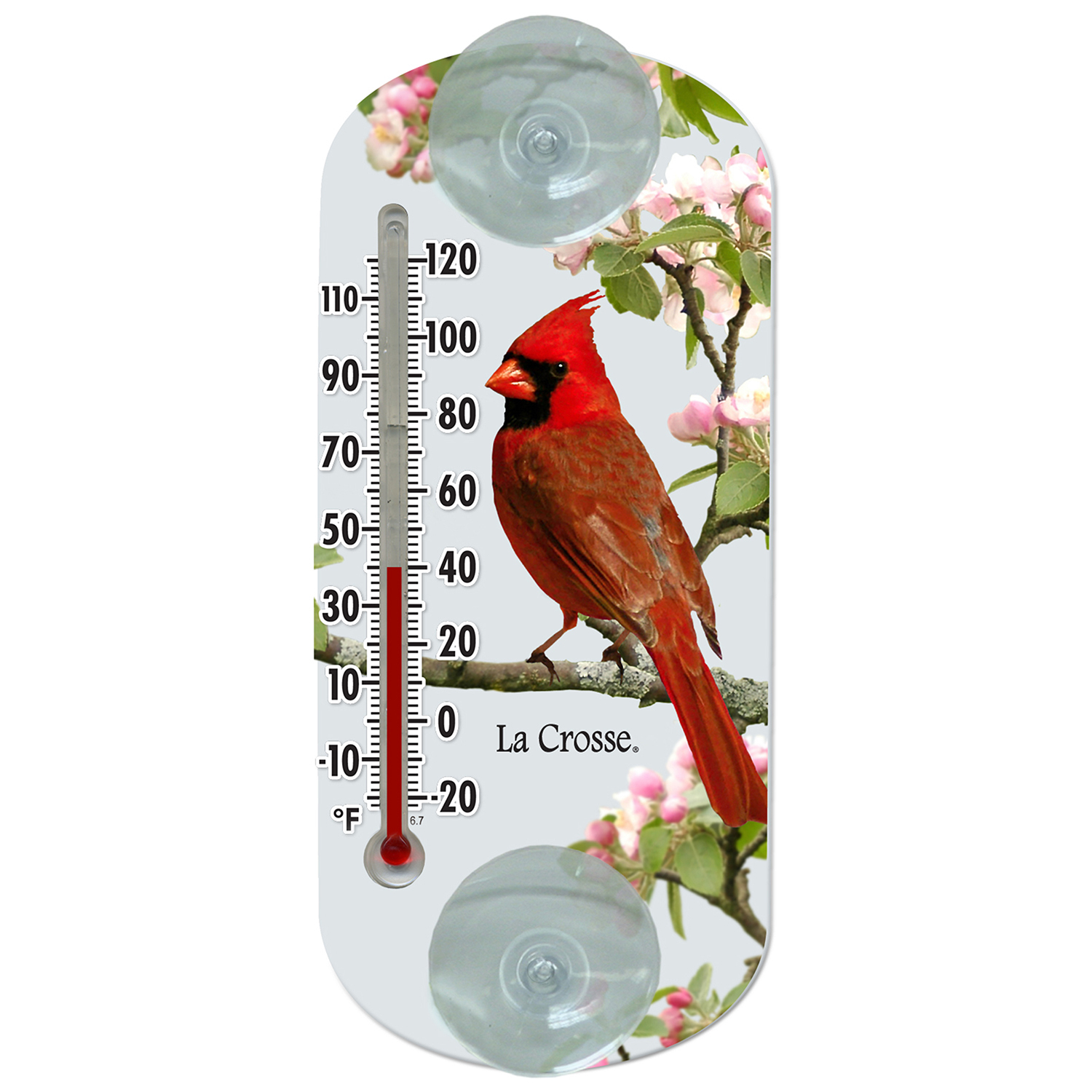 204-1081 La Crosse 8" Indoor/Outdoor Clear Window Thermometer - Cardinal