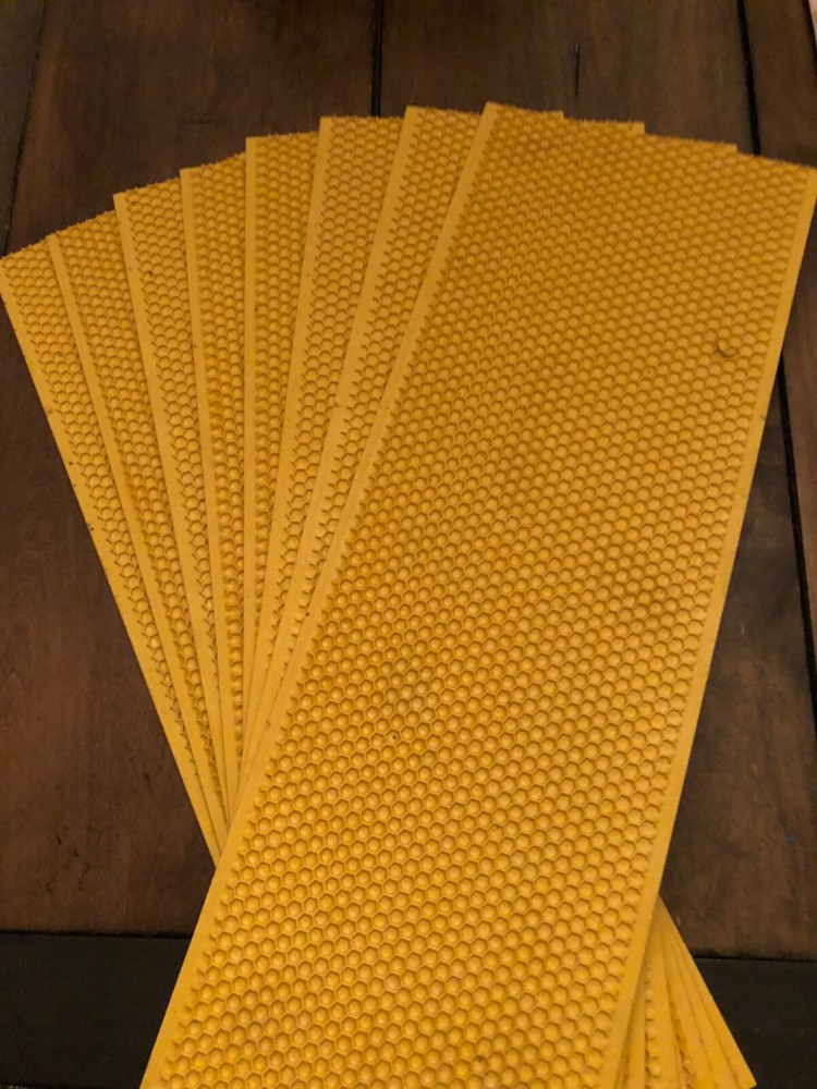beehive foundations (waxed shallow) EIGHT TOTAL