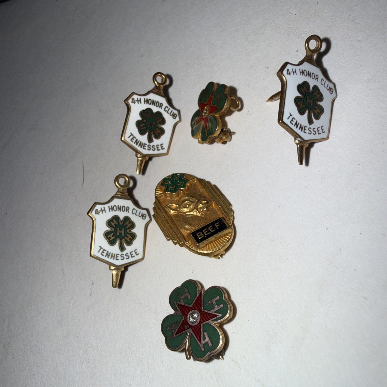 Vintage 4-H Club Pins Lot Of 6 HTF Gold Filled Pins 1-20th 10k