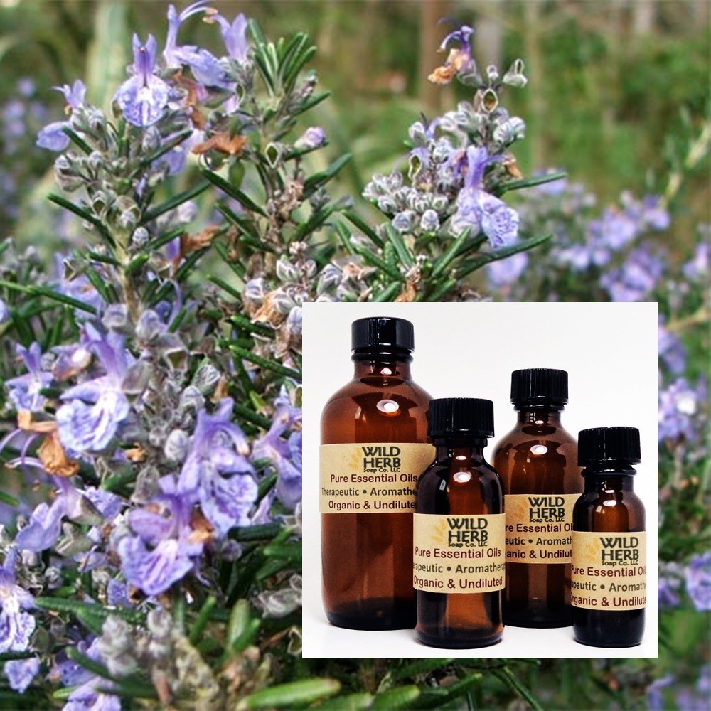 ORGANIC ROSEMARY PURE ESSENTIAL OIL | Full Strength | .5 to 32 oz | Wholesale US