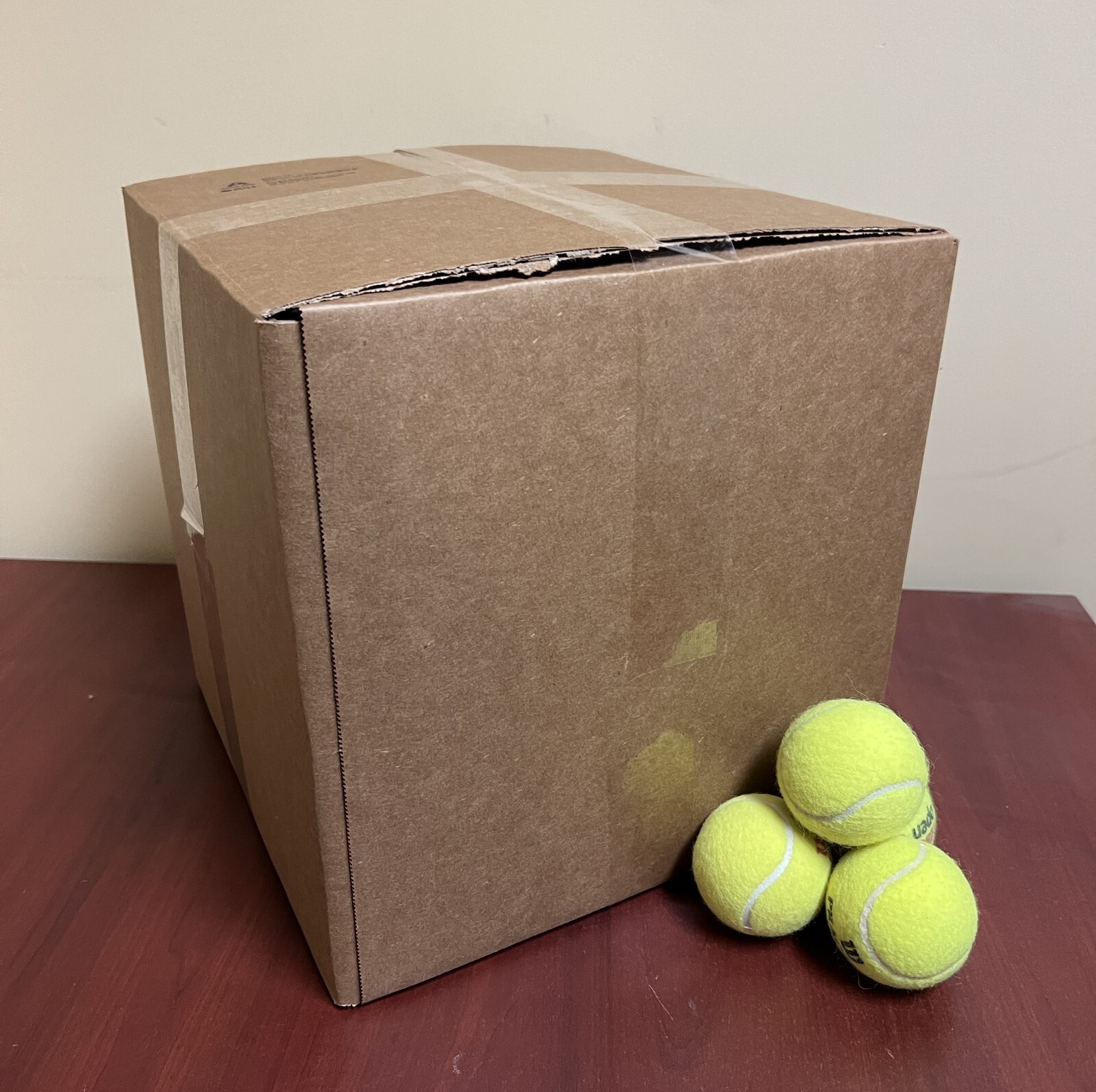 100 Lightly Used Tennis Balls - FREE SHIPPING!