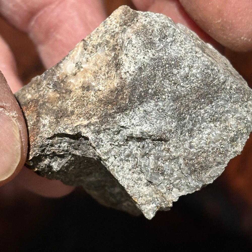 arizona silver and gold ore 65g