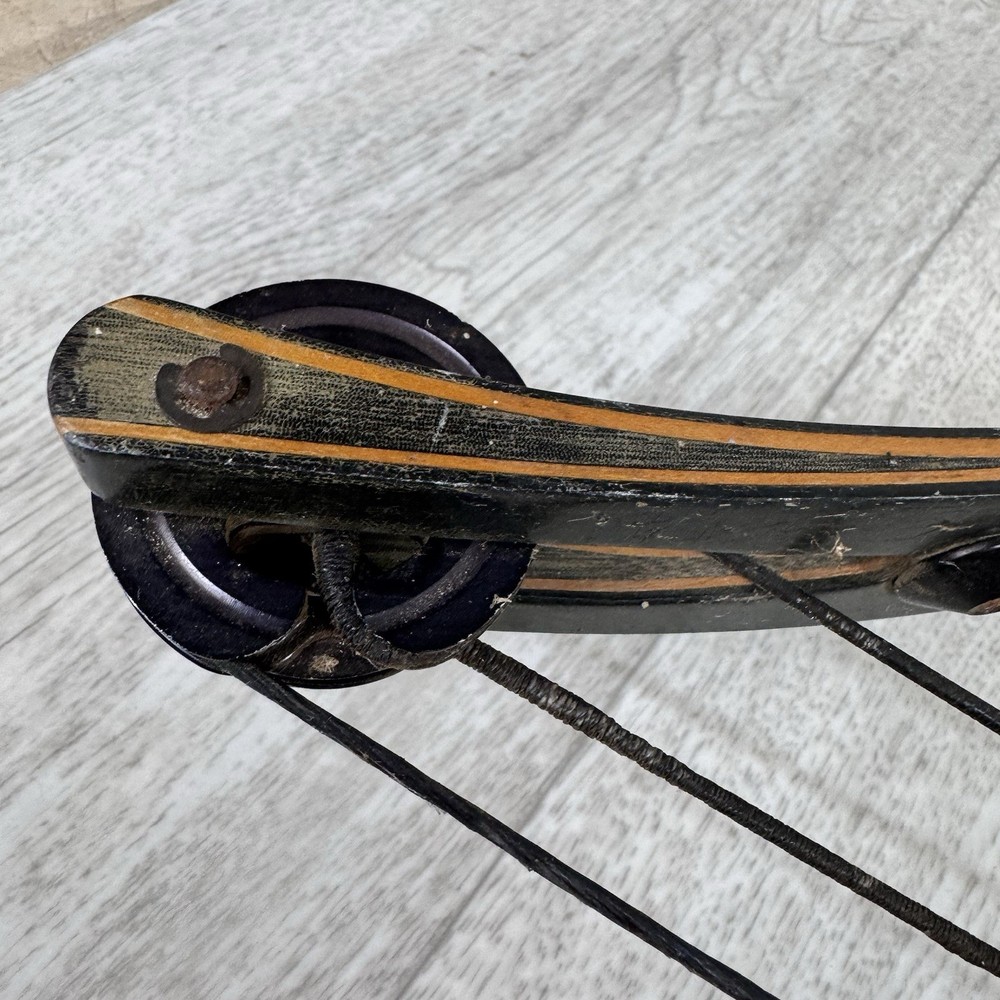 Hoyt ProVantage Hunter Compound Bow