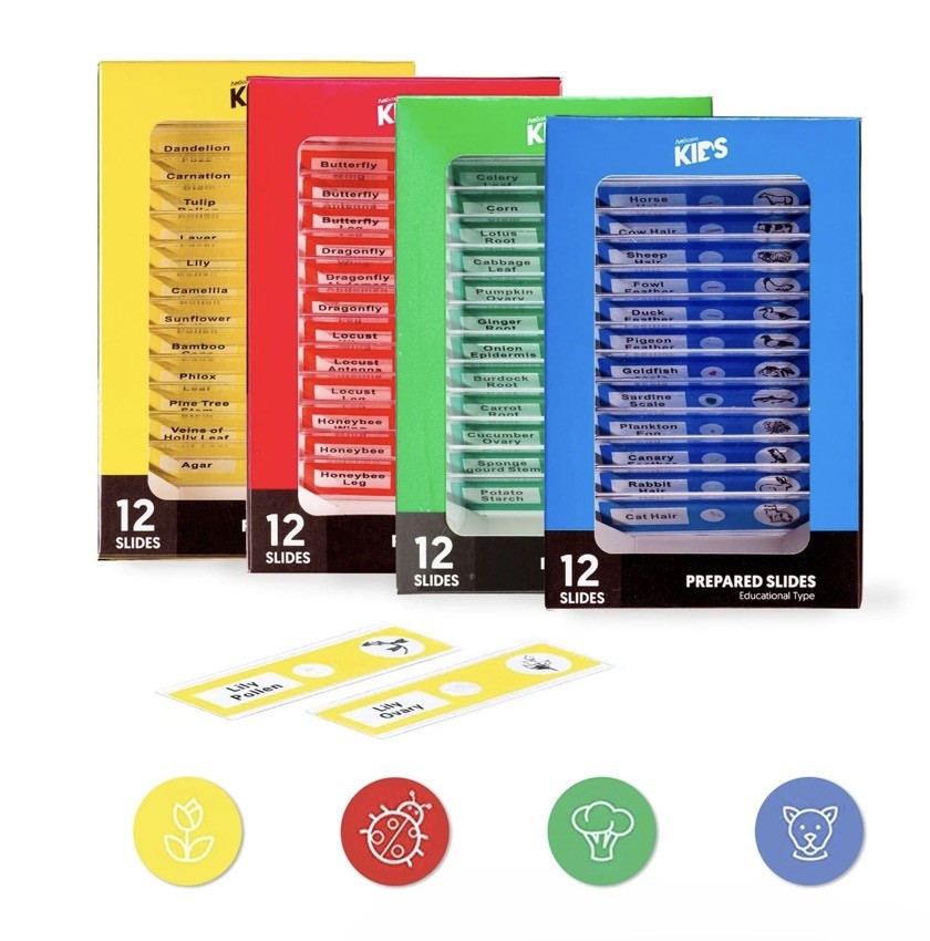 48pc Color-coded Prepared Plastic Microscope Slides Bird Fish Mammal Insect