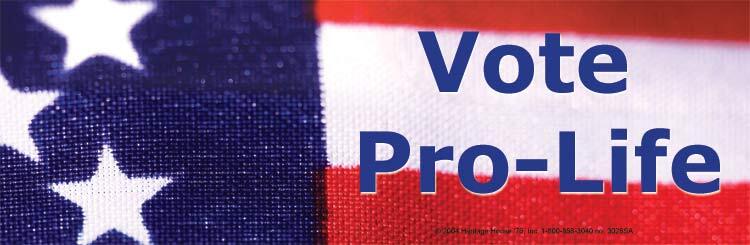 Vote Pro-Life Pro-Life Bumper Sticker