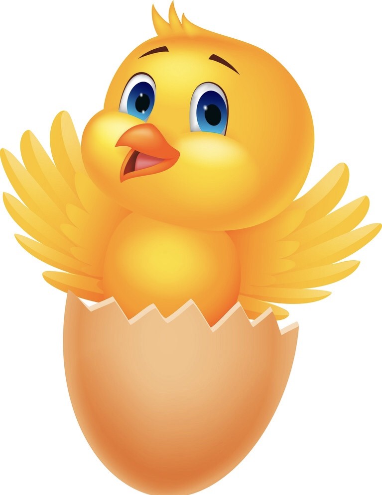 Hatching egg spray 🐣incubation hatching egg spray, ALL-NATURAL pharmaceutical💗