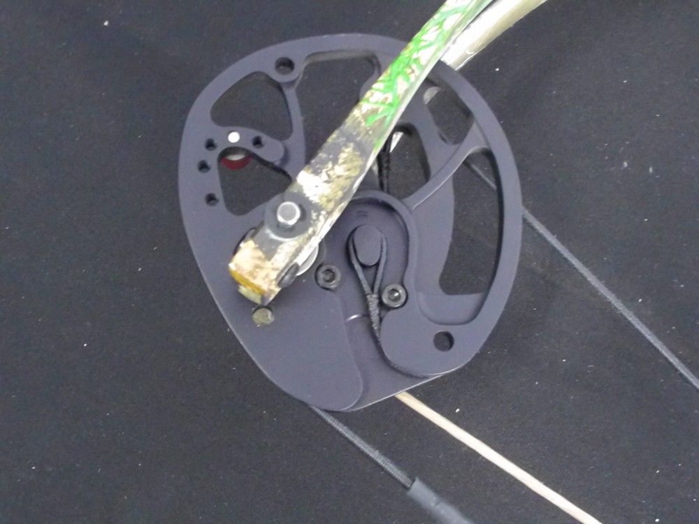 HOYT ECLIPSE RH 40-50LB REAL TREE EDGE COMPOUND BOW NWOT