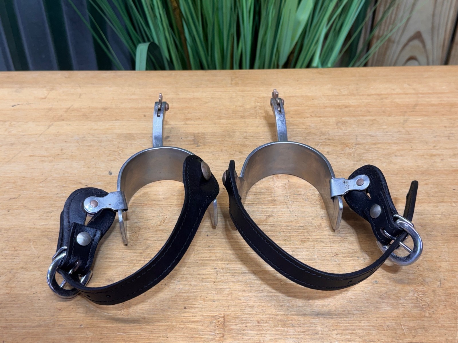 Long Shank Stainless Steel Western EQUITATION Spurs w Black Leather Straps