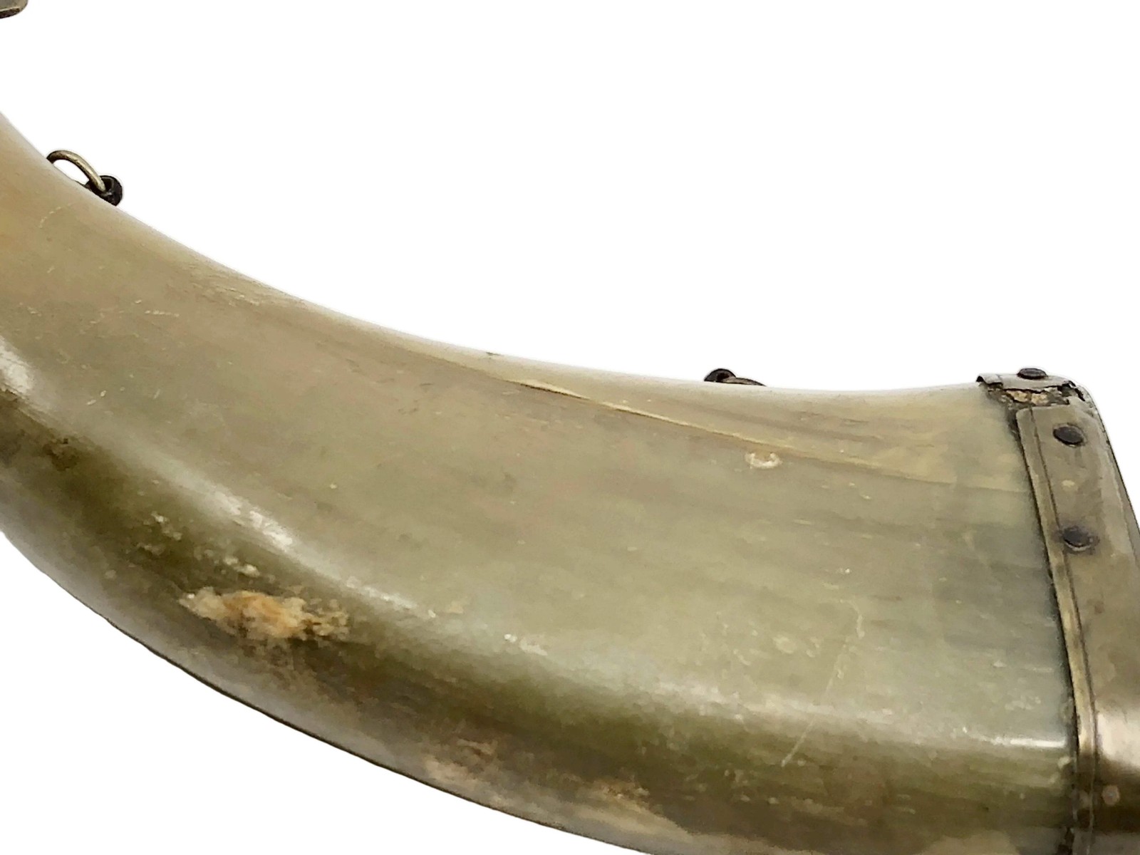 Civil war Era Flattened Powder Steer Horn