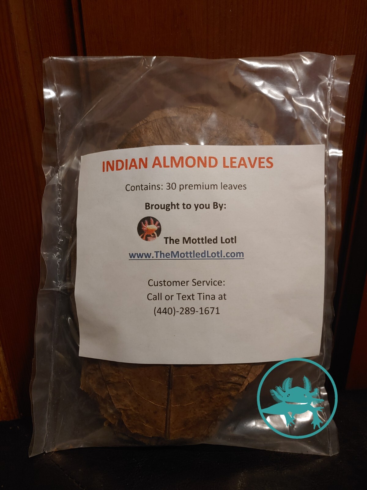 Axolotl Emergency First Aid Kit