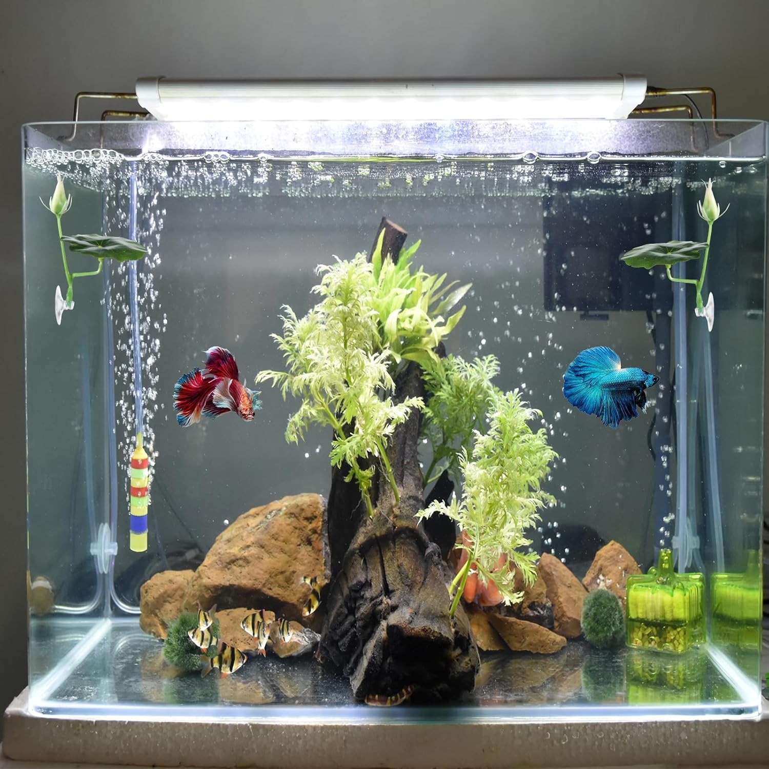 3 Pcs Betta Fish Bed Leaf Hammock Suction Cup Tank Decor 3 X Green