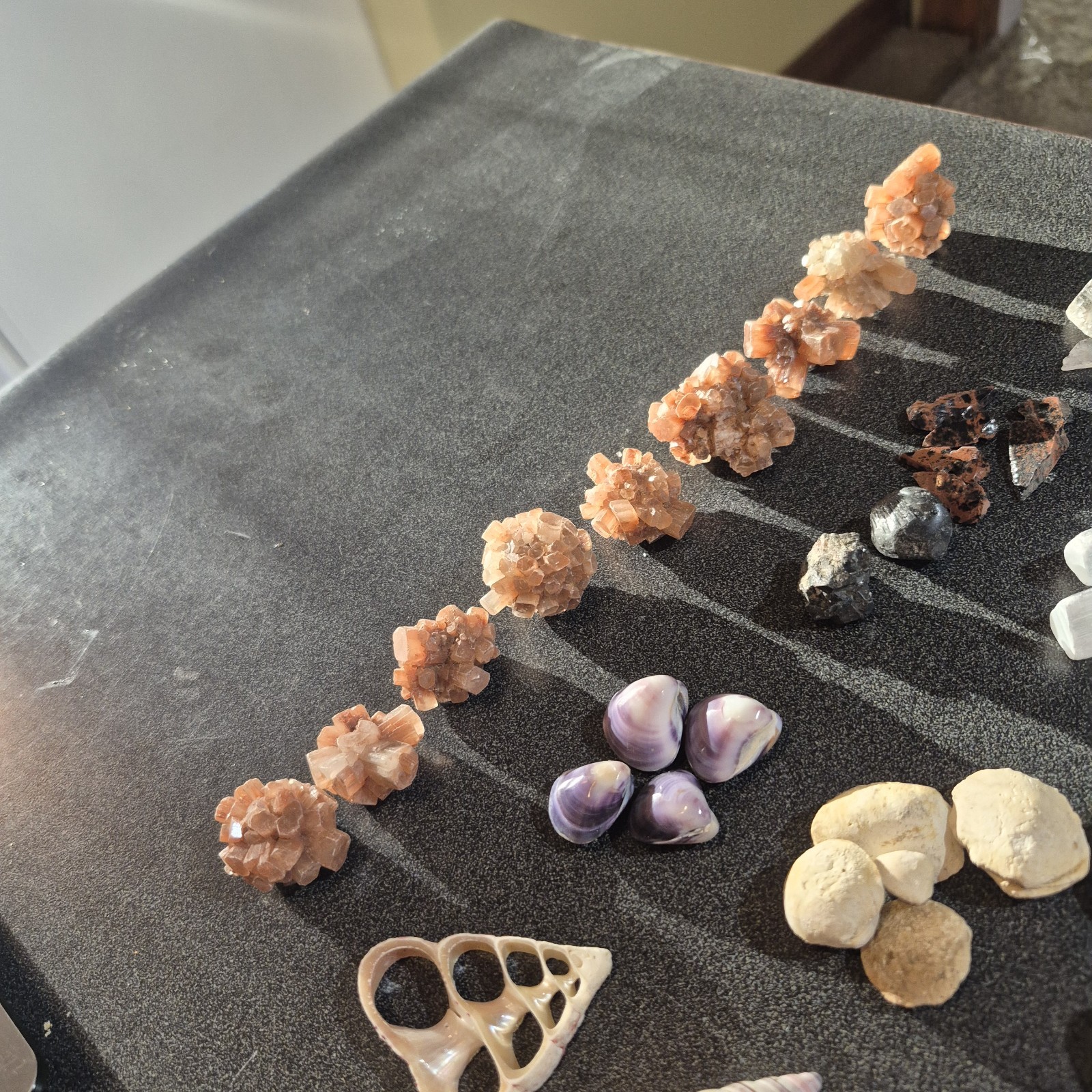 Ammonite Fossils, Crystals, Mineral Specimens, Shells, Cabochons Mixed Lot