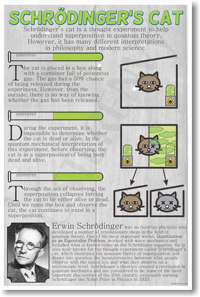 Schrodingers Cat - NEW Classroom Science POSTER (ms264)