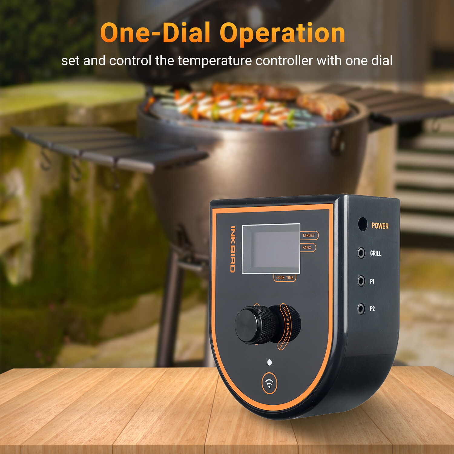 Barbecue Gas Grill Smokers Controller WiFi Bluetooth BBQ Exhaust Fan Control DC