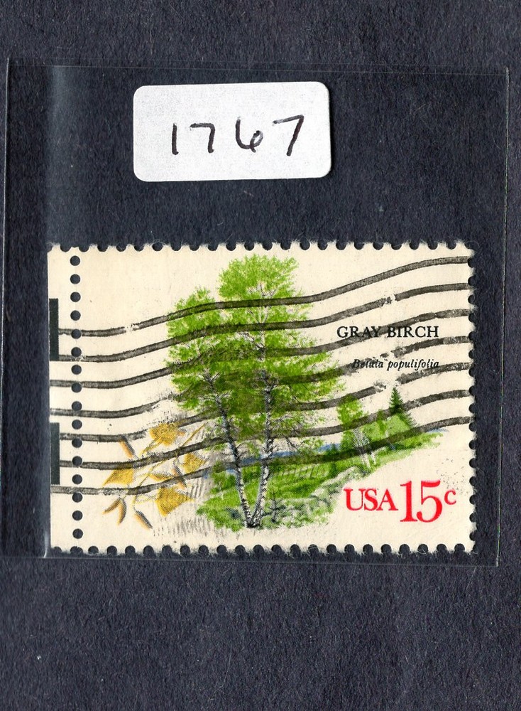 1978 Stamp #1767 Gray Birch Used