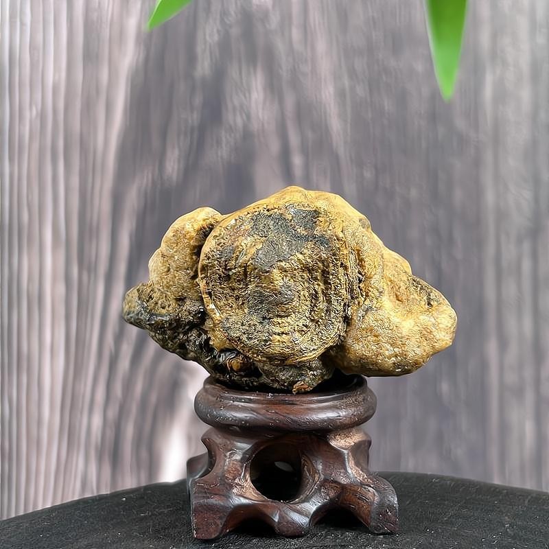 China Inner Mongolia Gobi Rough Agate Specimen