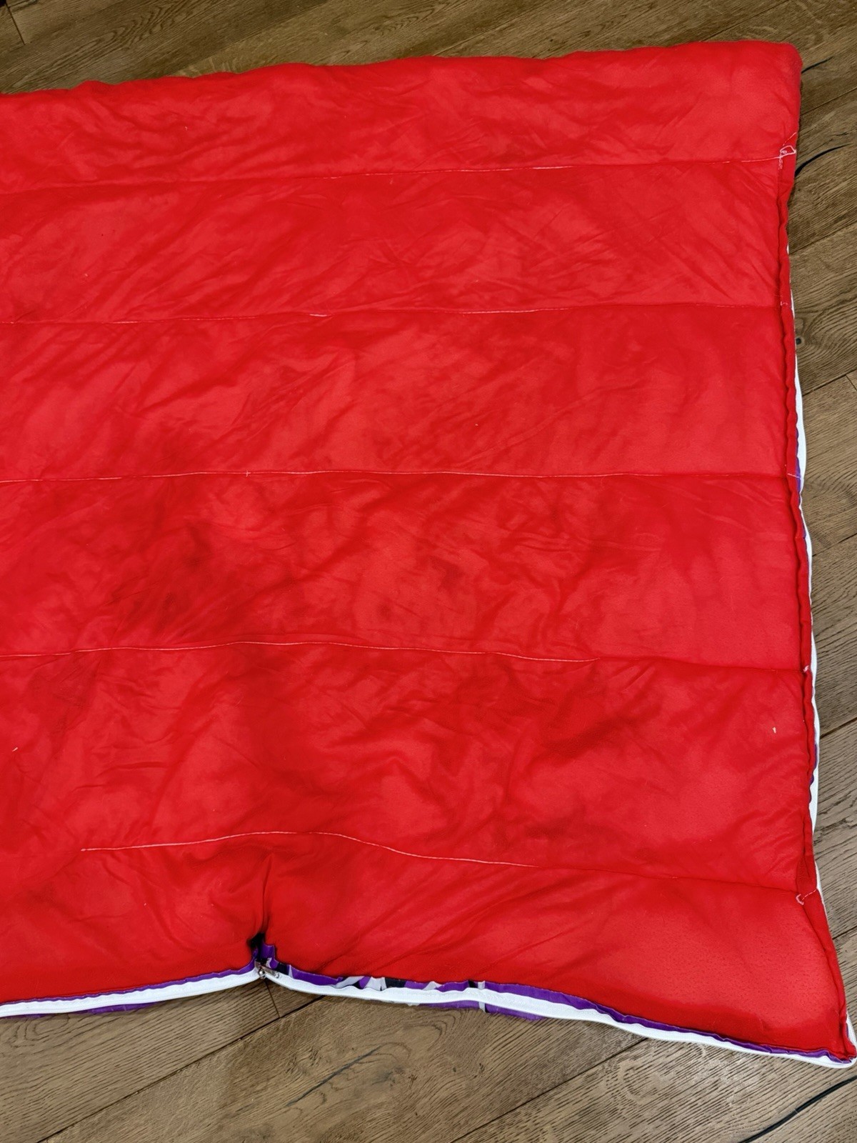 Vintage Goosebumps Skateboarding Mummy Sleeping Bag RL Stine Halloween 27x54